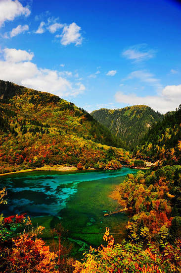 新浪旅游配图：五花海全景 摄影：谢超(九寨沟管理局)