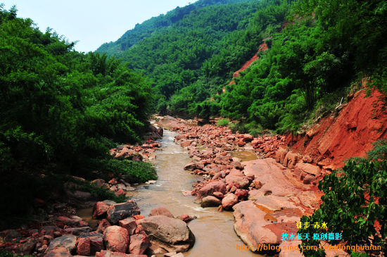 新浪旅游配图：竹海森林公园 摄影：秋水长天