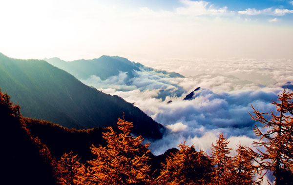 名博博主相约太白山 “微游”掀起互动狂潮