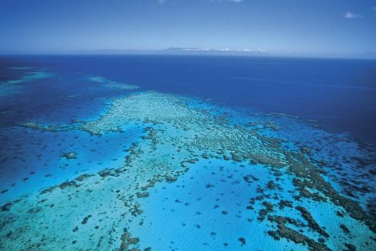 昆士兰大堡礁