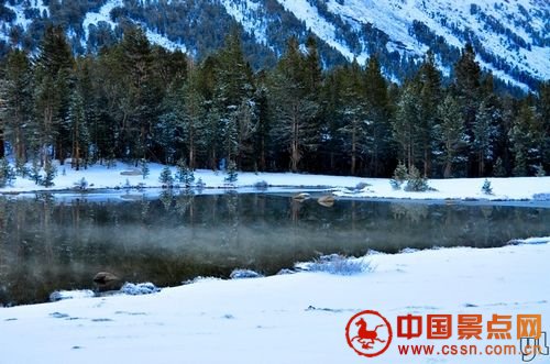 【大自然的馈赠：五月加州神奇暴雪(3)】点击图片看下一页