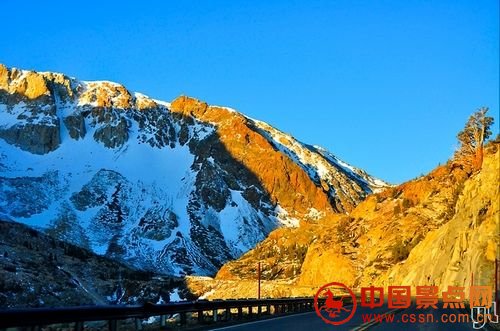 【大自然的馈赠：五月加州神奇暴雪】点击图片看下一页