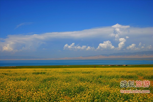 青海湖风光