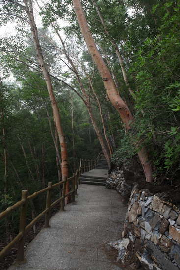 夏季北京周边新去处 游北方第一奇山白石山