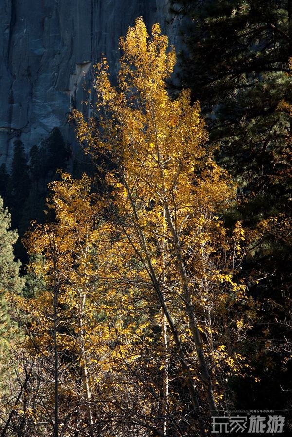 美国__美国加州纵贯线之暖秋体验：优胜美地国家公园
