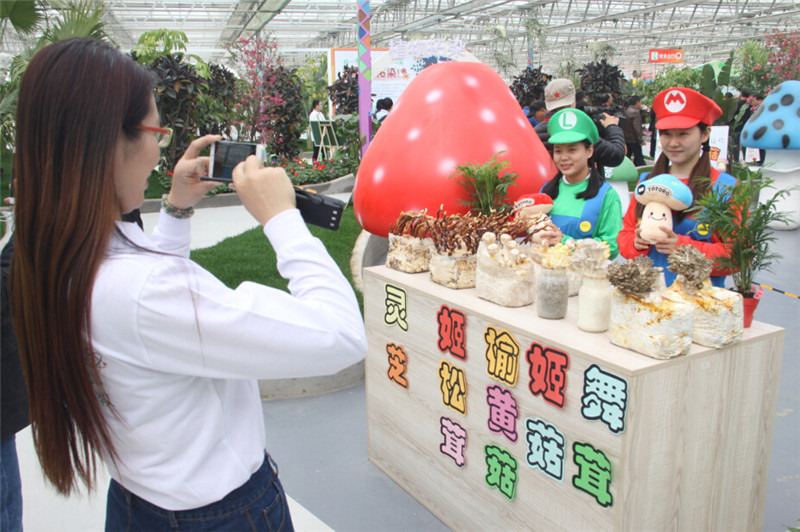 第五届北京农业嘉年华在昌平区兴寿镇草莓博览园照片.jpg
