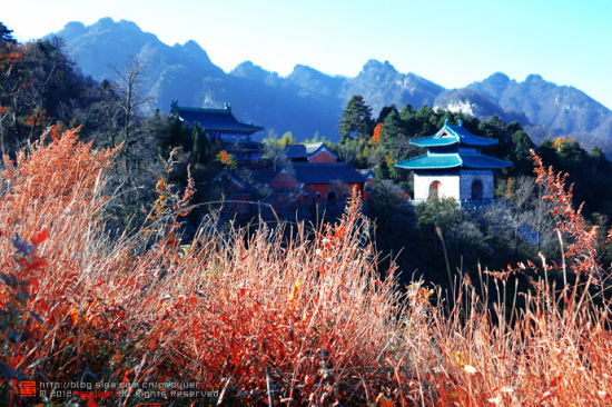 秋日美景