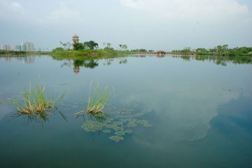 金河湾湿地公园