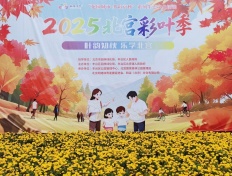 旅游信息网_北宫国家森林公园迎来彩叶最佳观赏期 2025年北宫彩叶季启幕