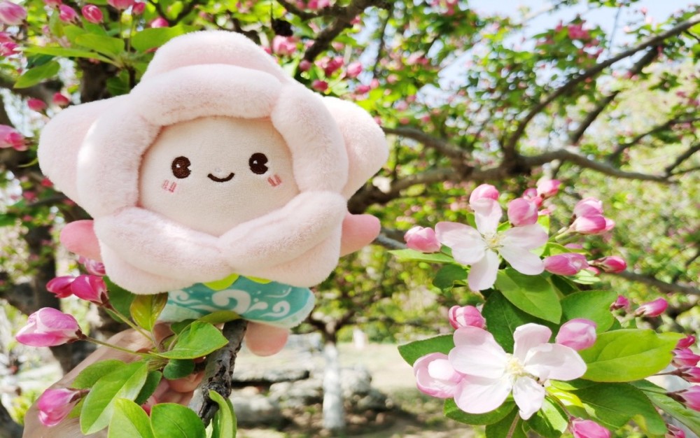 图片 5.jpg 图片 5.jpg