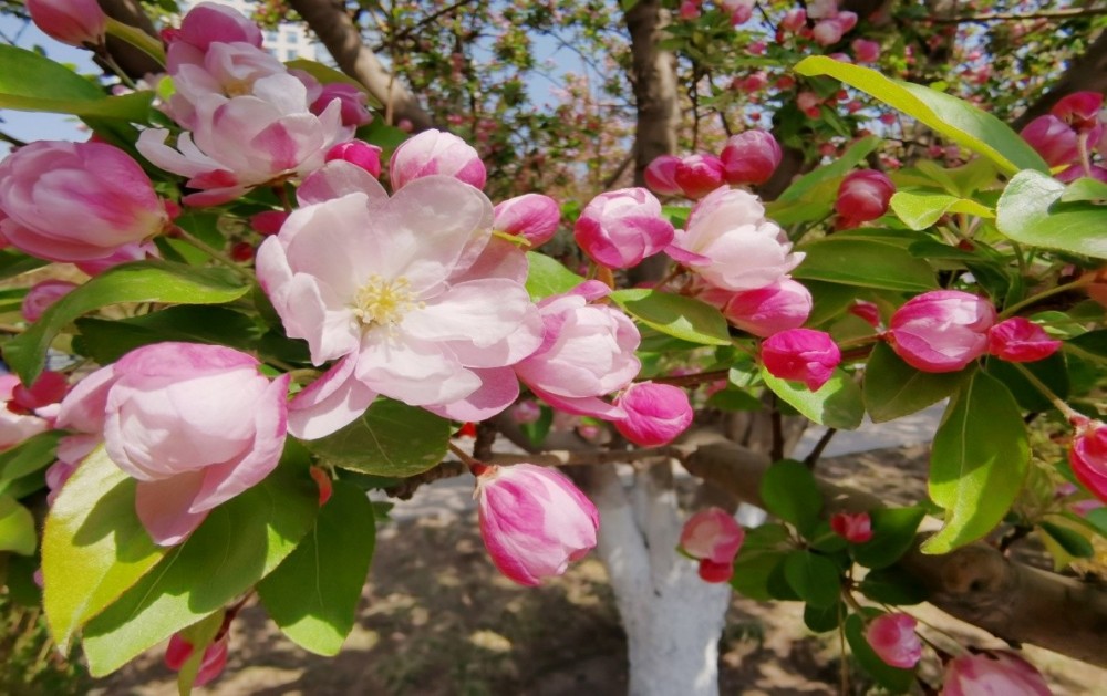 图片 10.jpg 图片 10.jpg