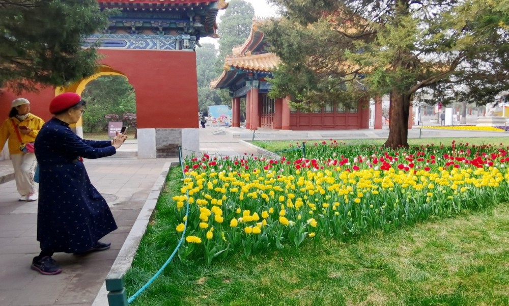 图片 3.jpg 图片 3.jpg