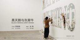 旅游信息网_《黑天鹅与灰犀牛》在北京元典美术馆展出