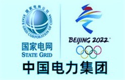 中国电力集团
