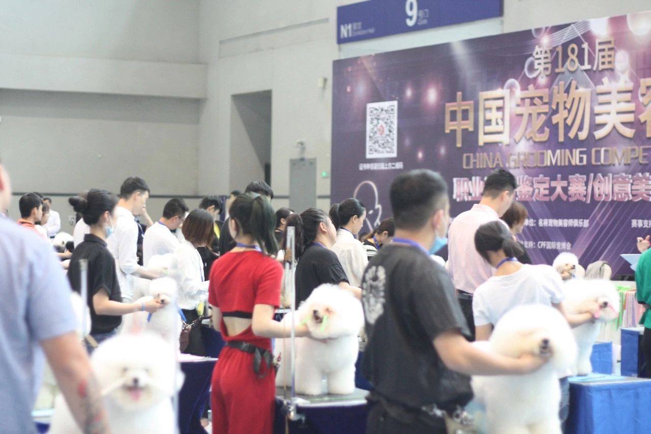 2020重庆宠物展CPF12月4日开展与萌宠一起大狂欢