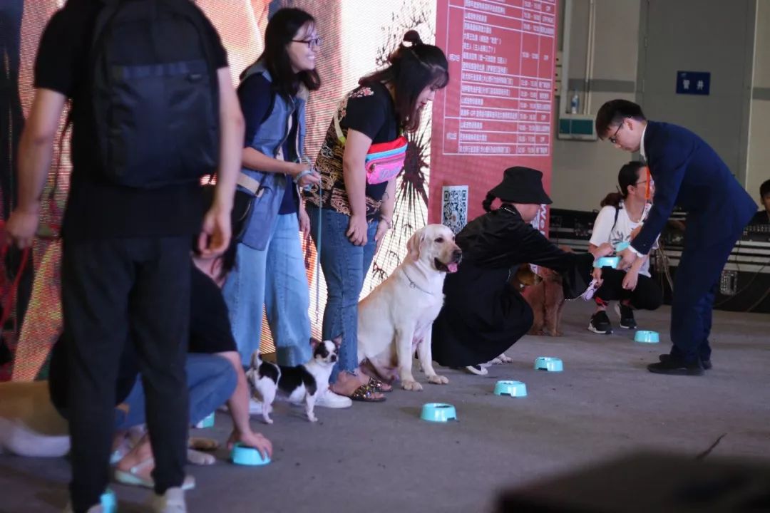 萌宠来袭CPF广州宠物展6月与萌宠一起大狂欢 萌宠来袭CPF广州宠物展6月与萌宠一起大狂欢