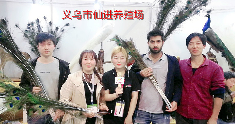 热烈祝贺2019第十二届中国义乌国际森林产品博览会在中国义乌国际博览中心隆重开幕! 热烈祝贺2019第十二届中国义乌国际森林产品博览会在中国义乌国际博览中心隆重开幕!