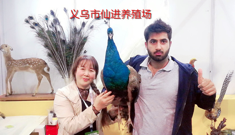 热烈祝贺2019第十二届中国义乌国际森林产品博览会在中国义乌国际博览中心隆重开幕! 热烈祝贺2019第十二届中国义乌国际森林产品博览会在中国义乌国际博览中心隆重开幕!