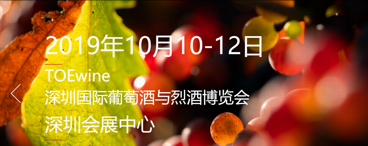 2019年TOEwine深圳国际葡萄酒与烈酒博览会-大号会展 www.dahaoexpo.com