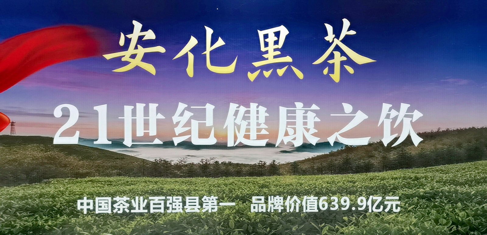 热烈祝贺2021第四届中国国际茶叶博览会于2021年5月21日-5月25日在杭州国际博览中心隆重开幕!COTV大号会展为您现场发布! 热烈祝贺2021第四届中国国际茶叶博览会于2021年5月21日-5月25日在杭州国际博览中心隆重开幕!COTV大号会展为您现场发布!