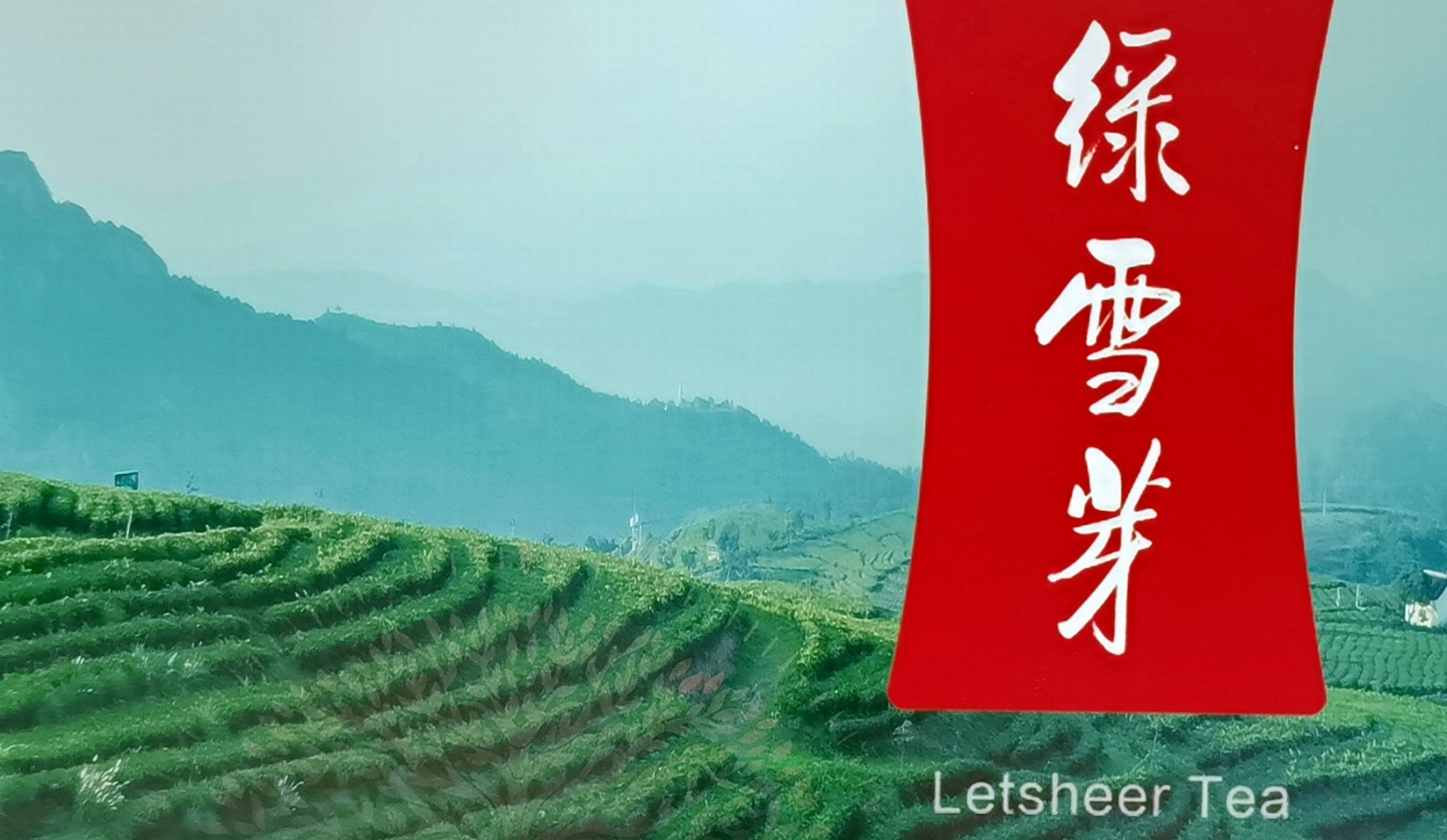 热烈祝贺2021第四届中国国际茶叶博览会于2021年5月21日-5月25日在杭州国际博览中心隆重开幕!COTV大号会展为您现场发布! 热烈祝贺2021第四届中国国际茶叶博览会于2021年5月21日-5月25日在杭州国际博览中心隆重开幕!COTV大号会展为您现场发布!