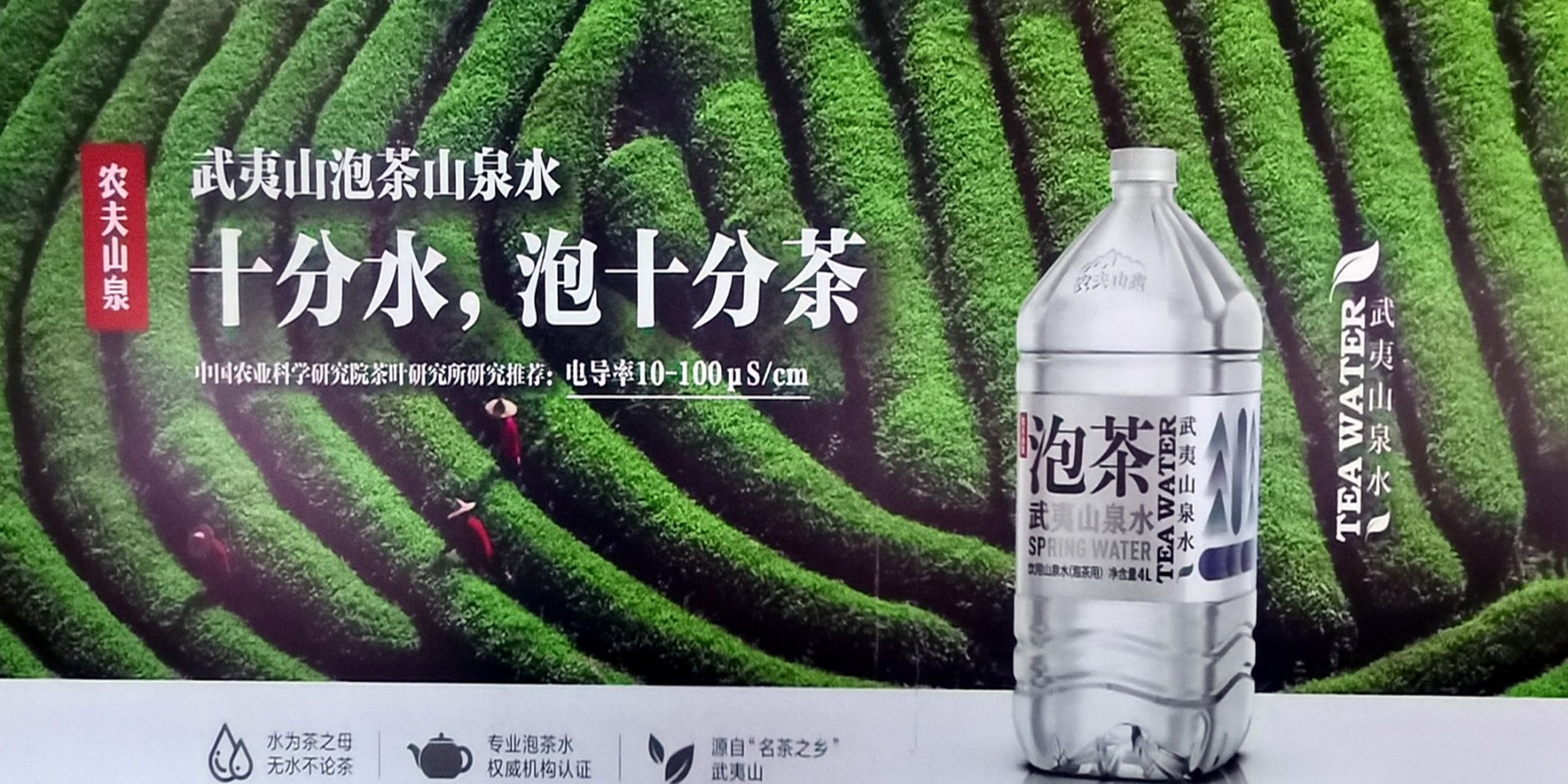 热烈祝贺2021第四届中国国际茶叶博览会于2021年5月21日-5月25日在杭州国际博览中心隆重开幕!COTV大号会展为您现场发布! 热烈祝贺2021第四届中国国际茶叶博览会于2021年5月21日-5月25日在杭州国际博览中心隆重开幕!COTV大号会展为您现场发布!