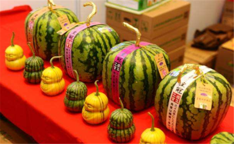 热烈祝贺2019第十二届亚洲果蔬产业博览会在上海新国际博览中心隆重开幕! 热烈祝贺2019第十二届亚洲果蔬产业博览会在上海新国际博览中心隆重开幕!