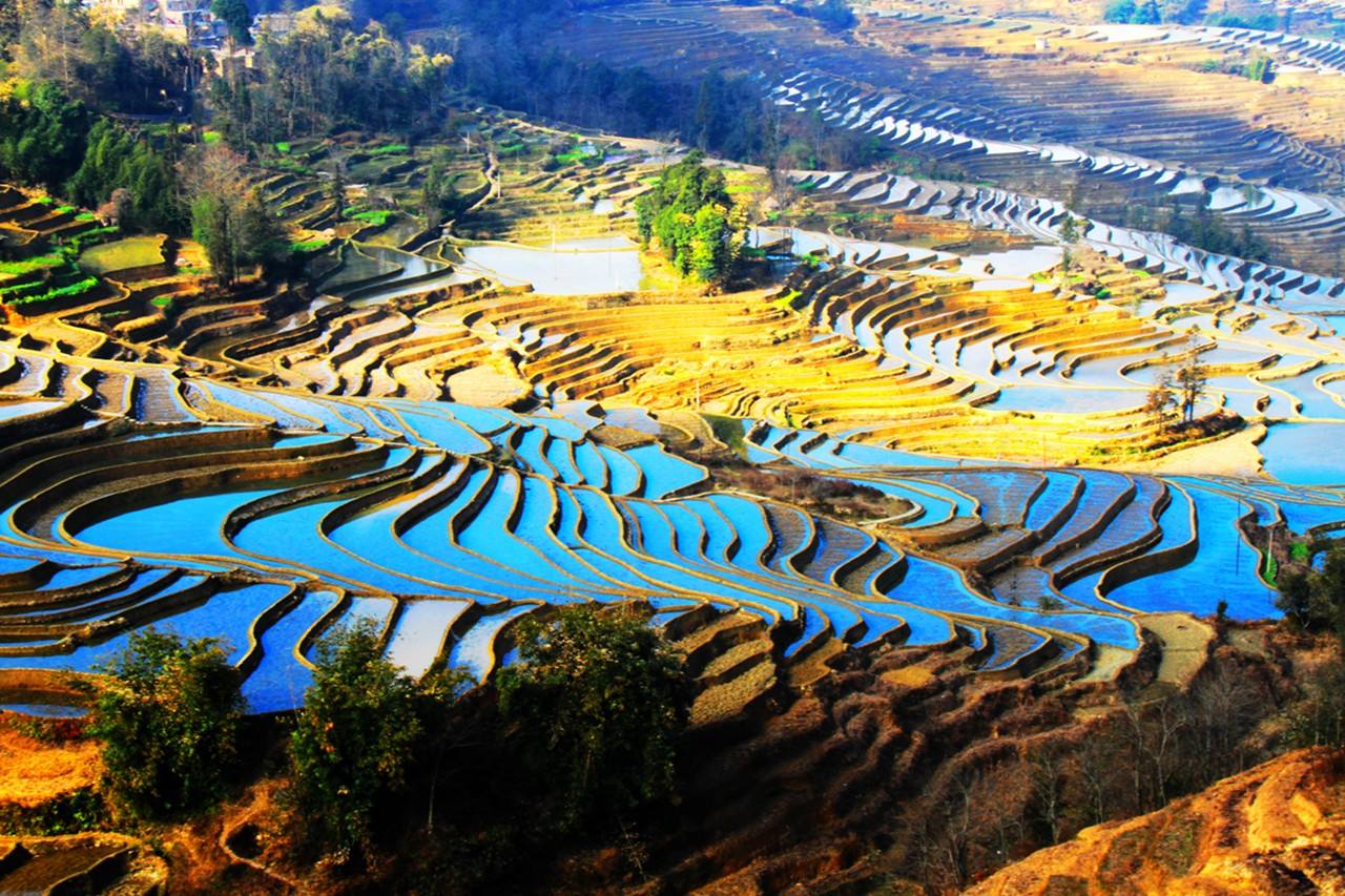 2022第十三届云南国际建筑及装饰材料博览会将于2022-08-22-24日在云南滇池国际会展中心隆重开幕！COTV全球直播、中网市场、大号商城、大号会展专场发布！