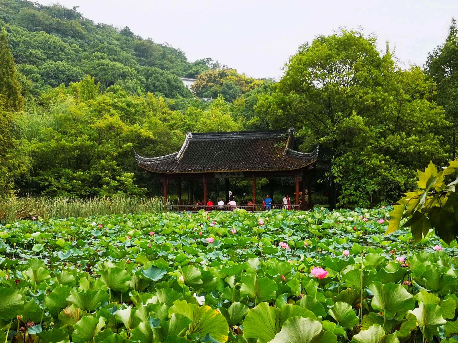 2022第十六届中国·大唐国际袜业博览会于2022年09月06日-08日在浙江绍兴诸暨国际商贸城隆重开幕!来自各地的袜业制造企业及相关配套供应商前来参展!中网市场、大号会展现场发布! 2022第十六届中国·大唐国际袜业博览会于2022年09月06日-08日在浙江绍兴诸暨国际商贸城隆重开幕!来自各地的袜业制造企业及相关配套供应商前来参展!中网市场、大号会展现场发布!