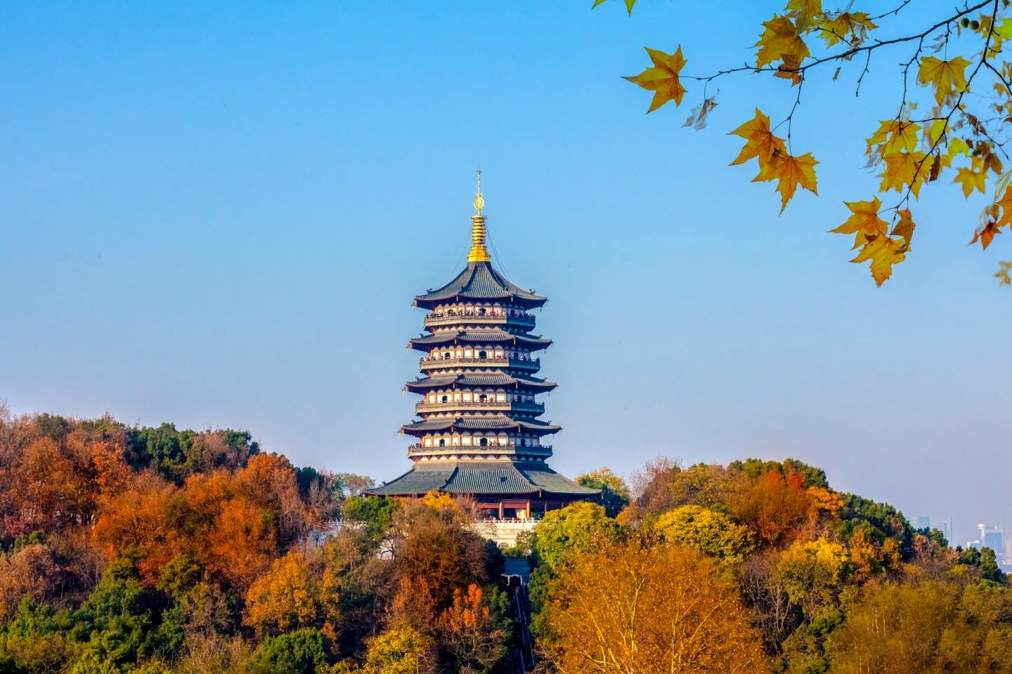 2022第13届上海国际餐饮食材展览会于2022年09月26日-09月27日在中国杭州国际博览中心隆重开幕!来自各地的餐饮及食材供应企业前来参展!COTV全球直播,中网市场、大号会展现场发布! 2022第13届上海国际餐饮食材展览会于2022年09月26日-09月27日在中国杭州国际博览中心隆重开幕!来自各地的餐饮及食材供应企业前来参展!COTV全球直播,中网市场、大号会展现场发布!
