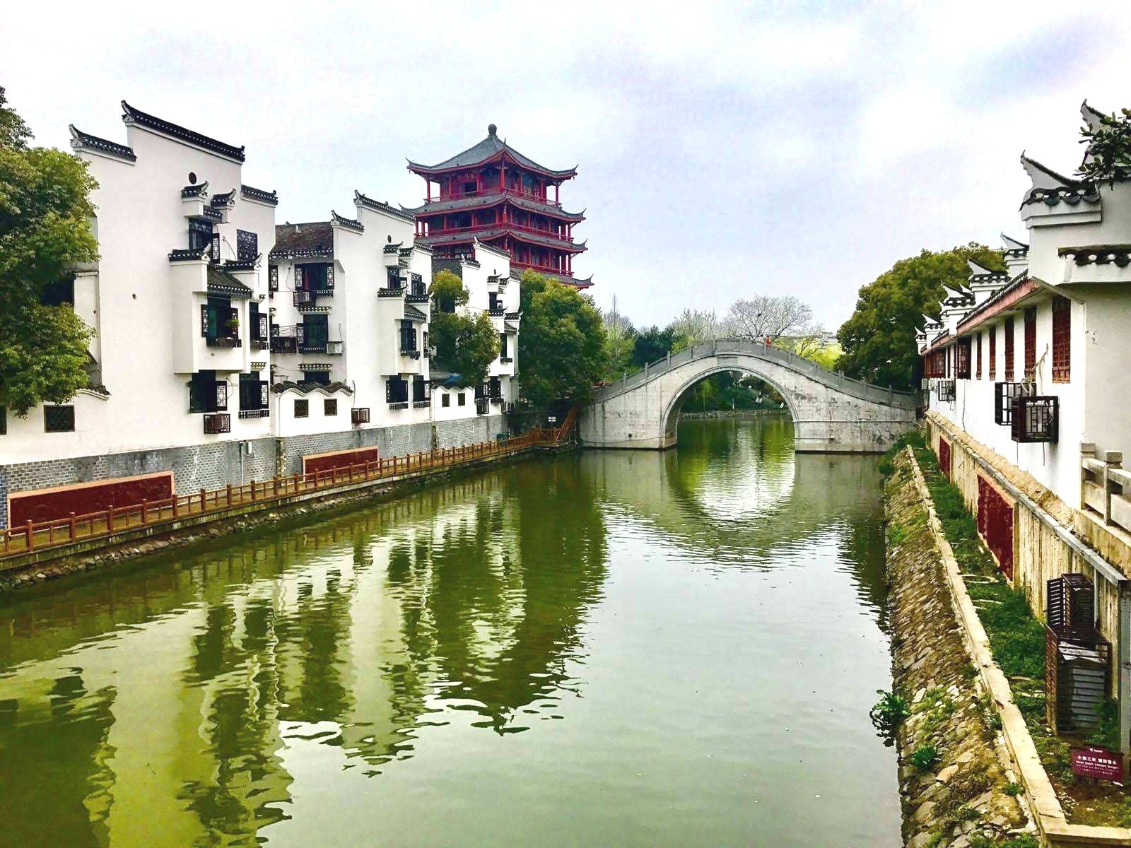 2022世界制造业大会在中国安徽省合肥市滨湖国际会展中心隆重开幕！COTV全球直播、中网市场、大号会展现场发布！