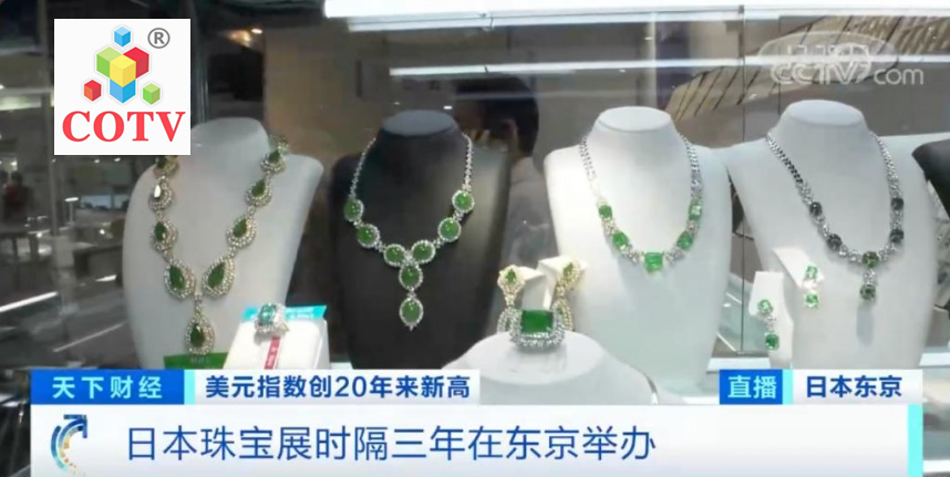 2023年日本国际珠宝展览会-东京展报名通知-大号会展 www.dahaoexpo.com