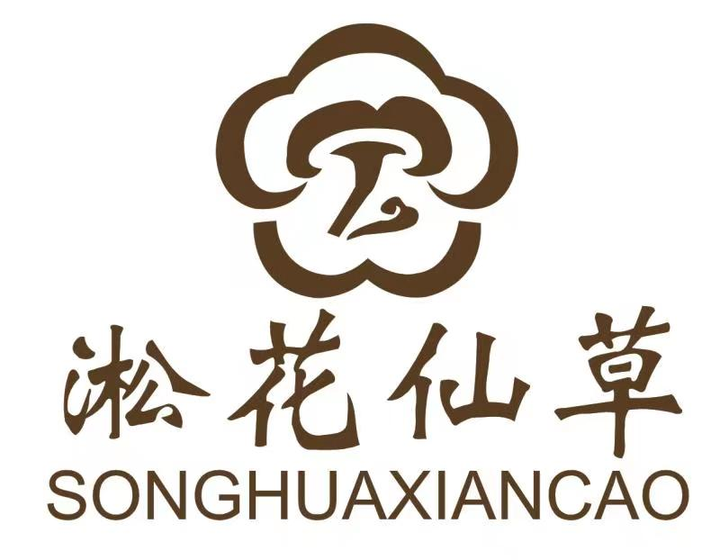 热烈祝贺|安徽松花药业有限公司受邀参加2022世界滋补产业生态大会 热烈祝贺|安徽松花药业有限公司受邀参加2022世界滋补产业生态大会