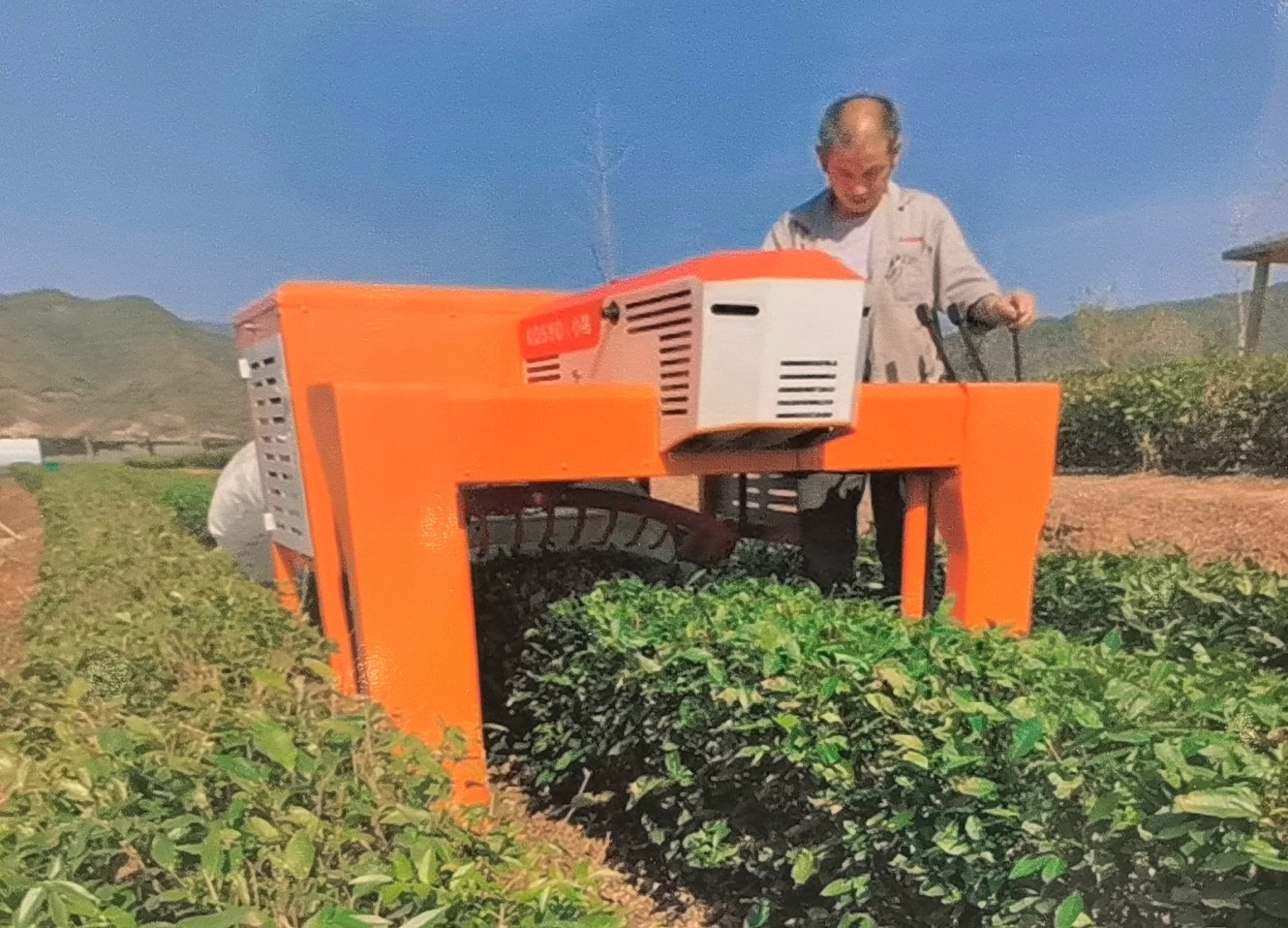 2023首届中国（永康）国际农林装备博览会于，2023年03月06日-08日在永康国际会展中心隆重开幕！COTV全球直播、中网市场、大号会展现场发布！