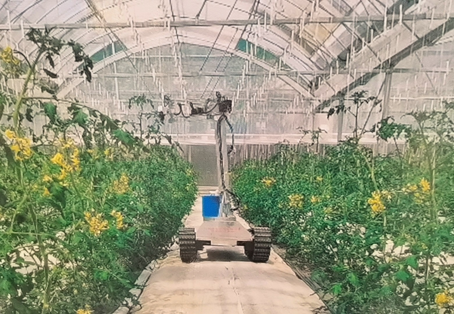 2023首届中国（永康）国际农林装备博览会于，2023年03月06日-08日在永康国际会展中心隆重开幕！COTV全球直播、中网市场、大号会展现场发布！