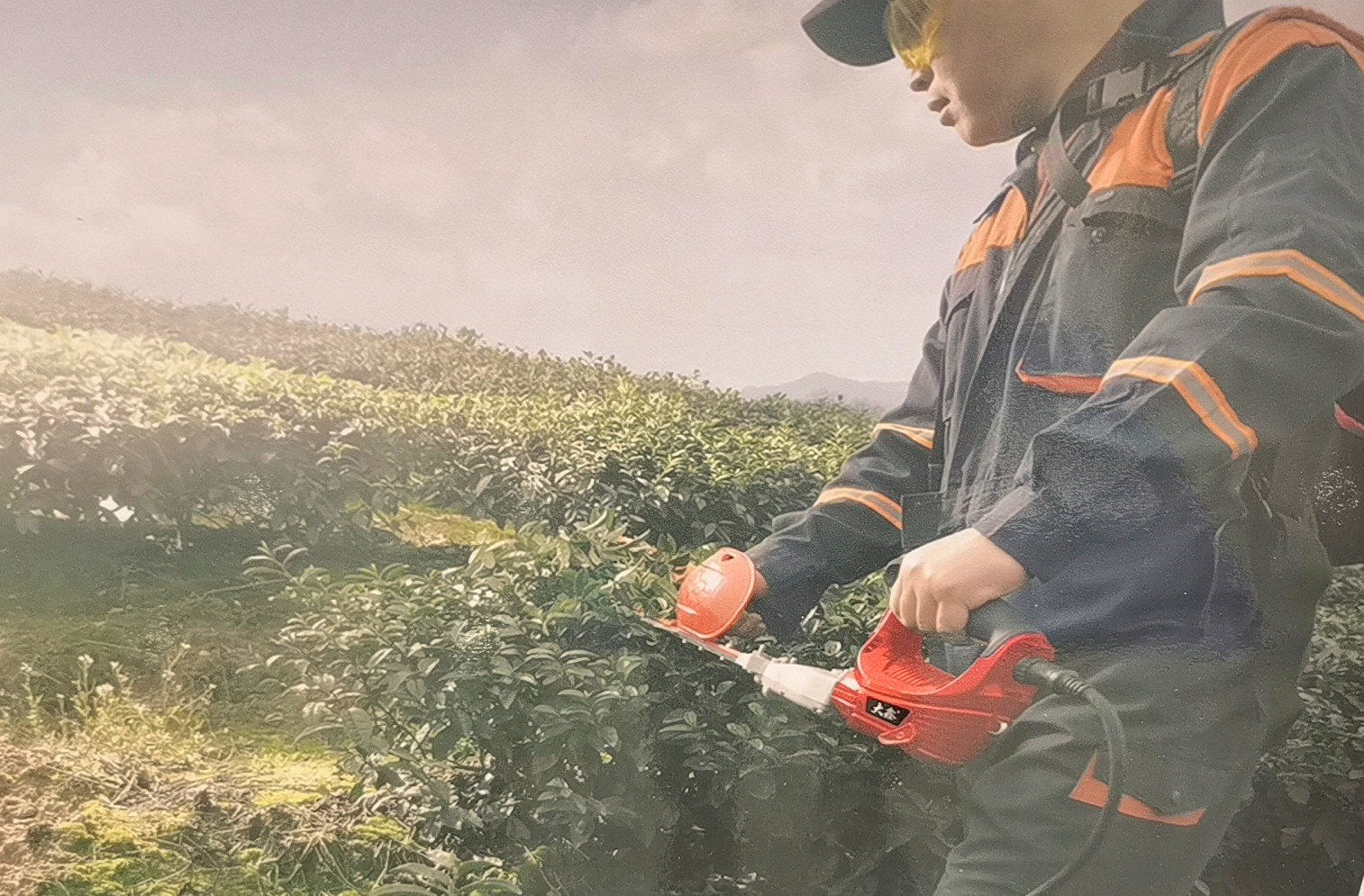 2023首届中国（永康）国际农林装备博览会于，2023年03月06日-08日在永康国际会展中心隆重开幕！COTV全球直播、中网市场、大号会展现场发布！