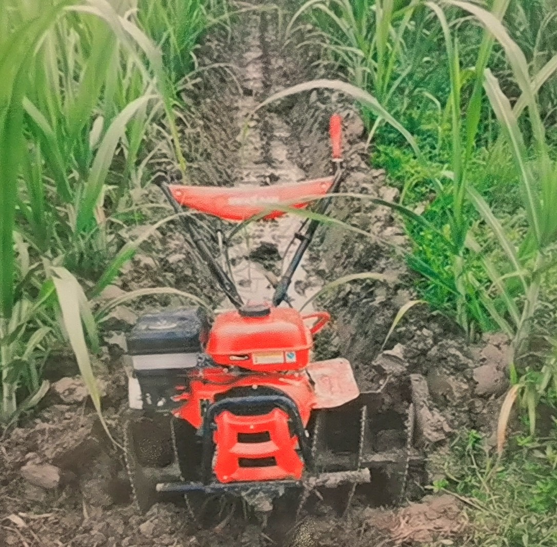 2023首届中国（永康）国际农林装备博览会于，2023年03月06日-08日在永康国际会展中心隆重开幕！COTV全球直播、中网市场、大号会展现场发布！