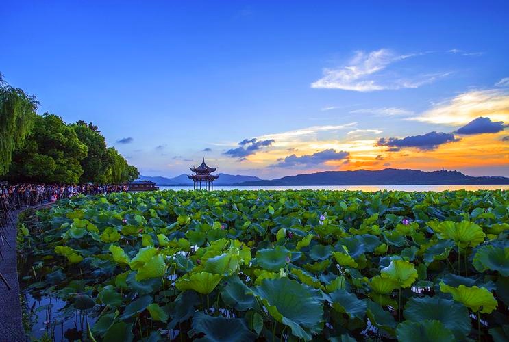 2023时尚纺织盛会|第30届中国（杭州）国际纺织服装供应链博览会于2023年06月15日-17日在杭州国际博览中心重磅开幕！COTV全球直播、中网市场、中网TV、大号会展现场发布！