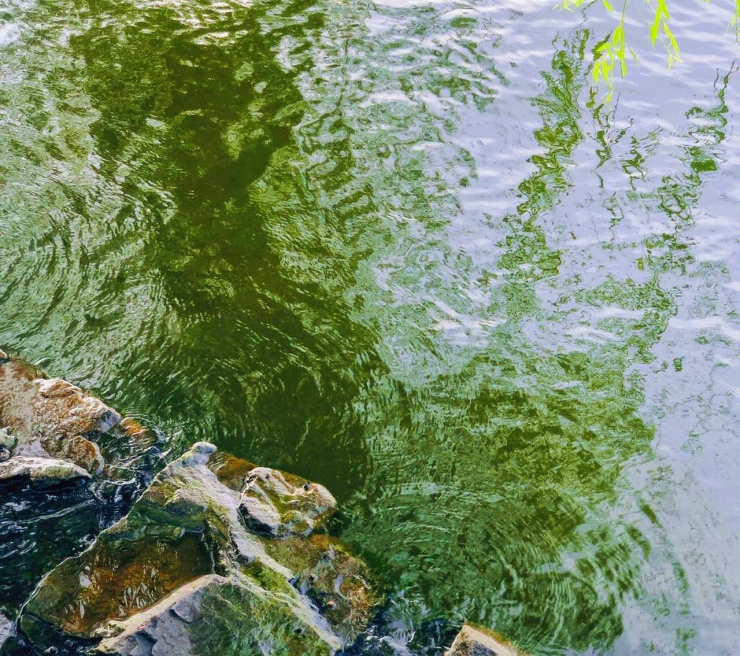 2023时尚纺织盛会|第30届中国（杭州）国际纺织服装供应链博览会于2023年06月15日-17日在杭州国际博览中心重磅开幕！COTV全球直播、中网市场、中网TV、大号会展现场发布！