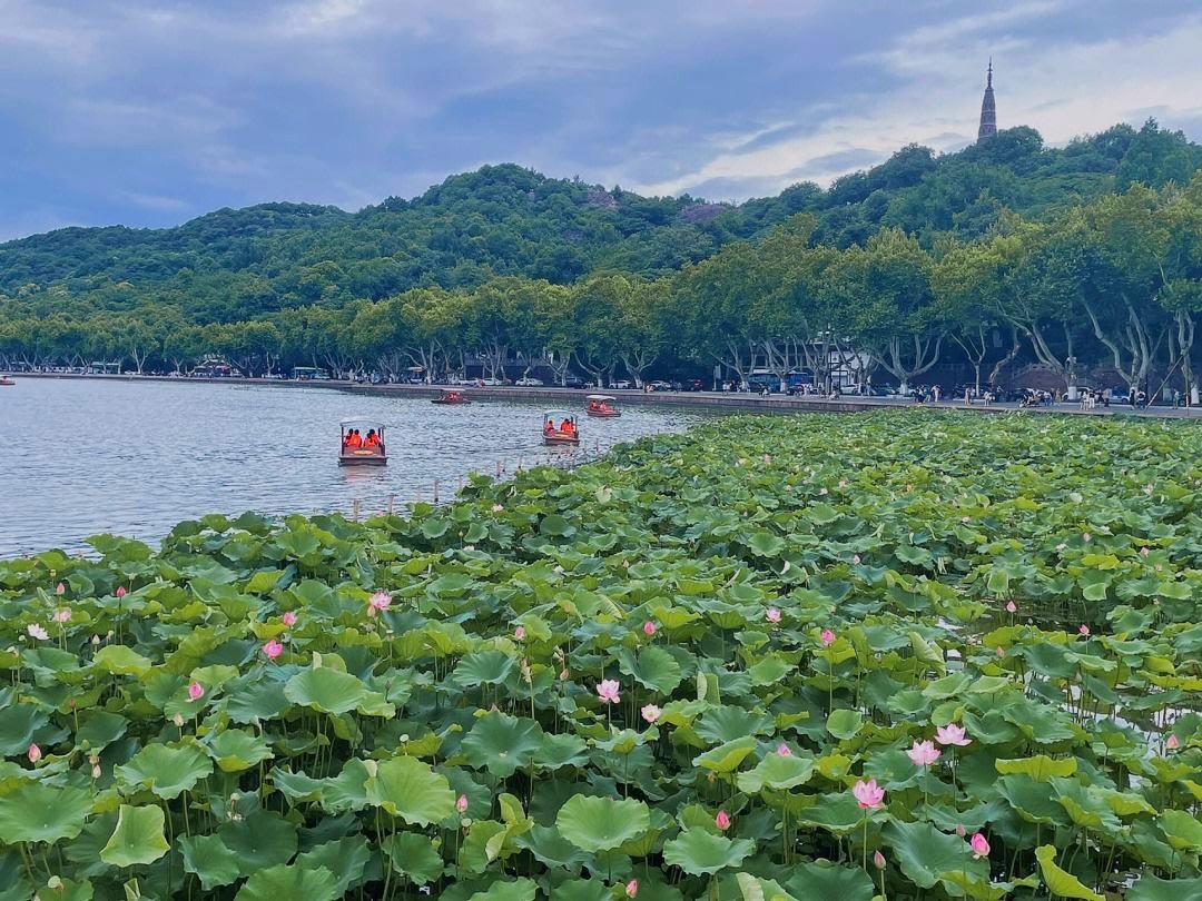 2023时尚纺织盛会|第30届中国（杭州）国际纺织服装供应链博览会于2023年06月15日-17日在杭州国际博览中心重磅开幕！COTV全球直播、中网市场、中网TV、大号会展现场发布！