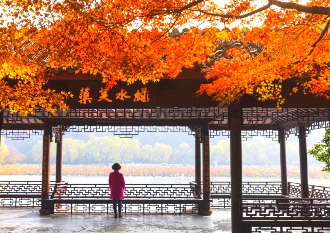 2023时尚纺织盛会|第30届中国（杭州）国际纺织服装供应链博览会于2023年06月15日-17日在杭州国际博览中心重磅开幕！COTV全球直播、中网市场、中网TV、大号会展现场发布！