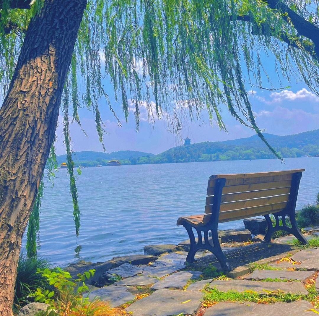 2023时尚纺织盛会|第30届中国（杭州）国际纺织服装供应链博览会于2023年06月15日-17日在杭州国际博览中心重磅开幕！COTV全球直播、中网市场、中网TV、大号会展现场发布！