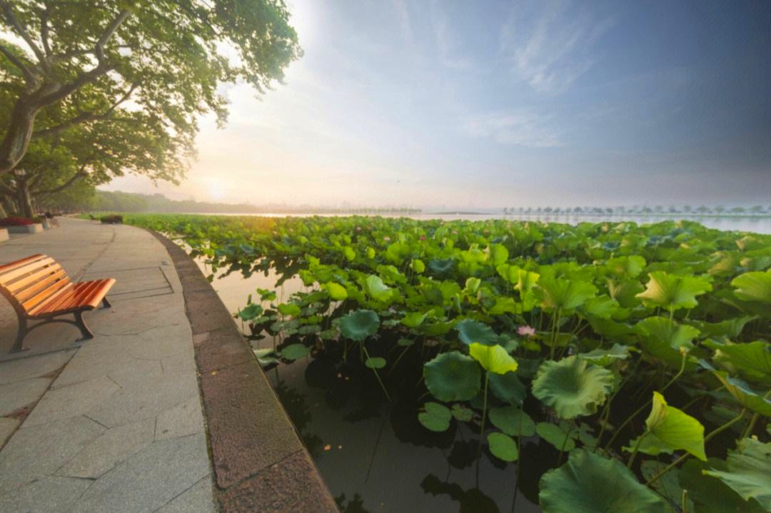 2023时尚纺织盛会|第30届中国（杭州）国际纺织服装供应链博览会于2023年06月15日-17日在杭州国际博览中心重磅开幕！COTV全球直播、中网市场、中网TV、大号会展现场发布！