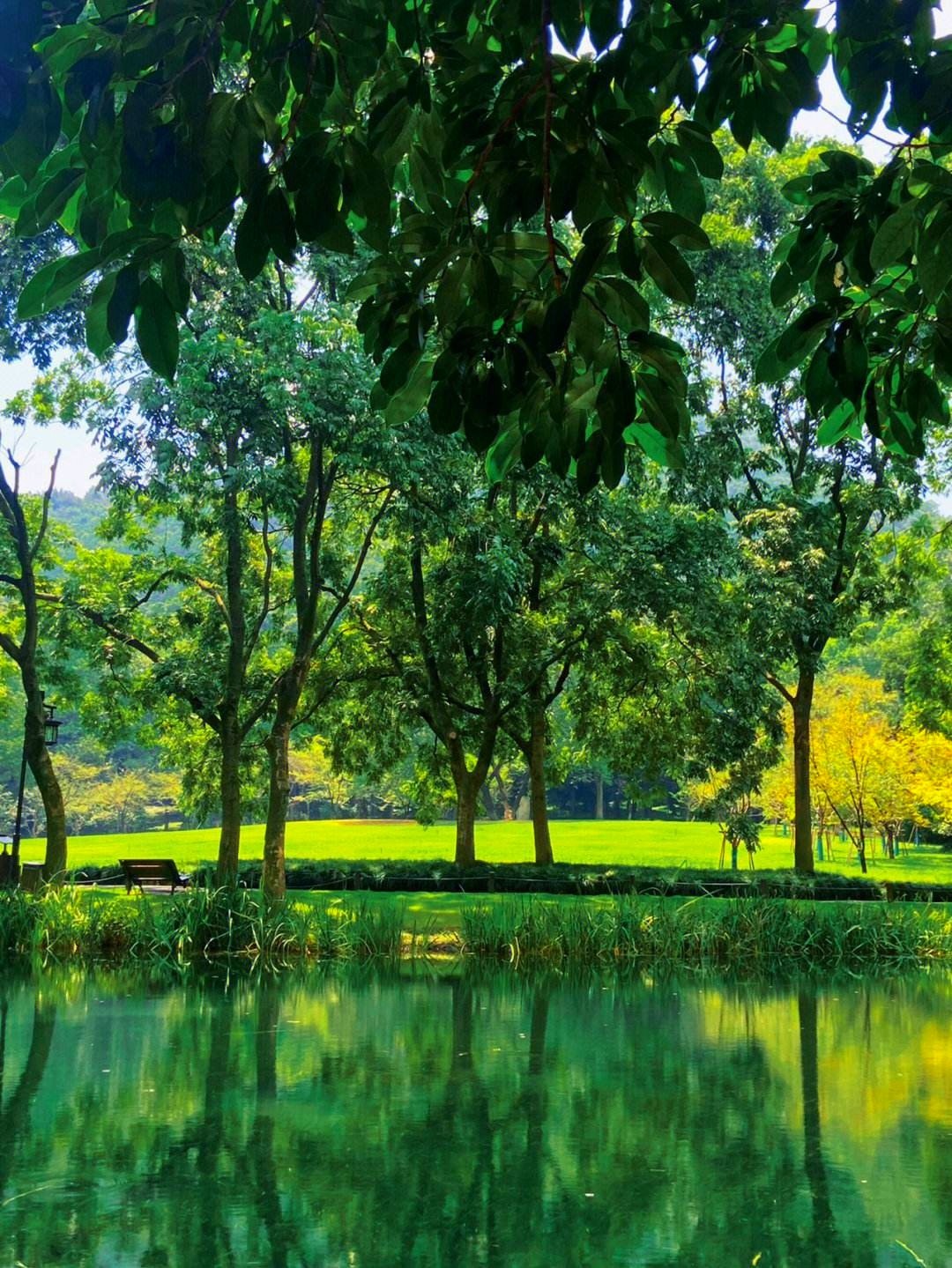 2023时尚纺织盛会|第30届中国（杭州）国际纺织服装供应链博览会于2023年06月15日-17日在杭州国际博览中心重磅开幕！COTV全球直播、中网市场、中网TV、大号会展现场发布！