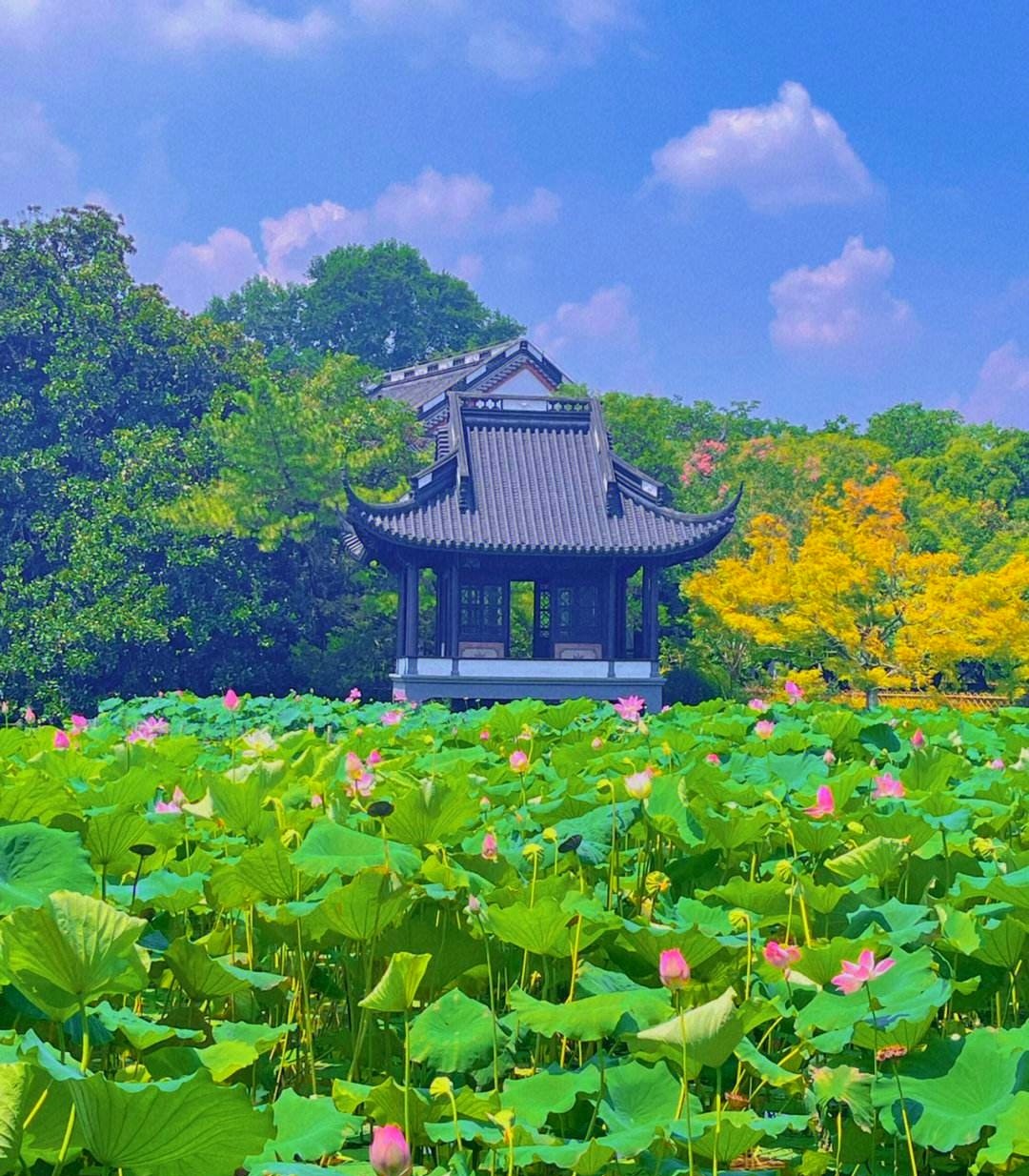 2023时尚纺织盛会|第30届中国（杭州）国际纺织服装供应链博览会于2023年06月15日-17日在杭州国际博览中心重磅开幕！COTV全球直播、中网市场、中网TV、大号会展现场发布！