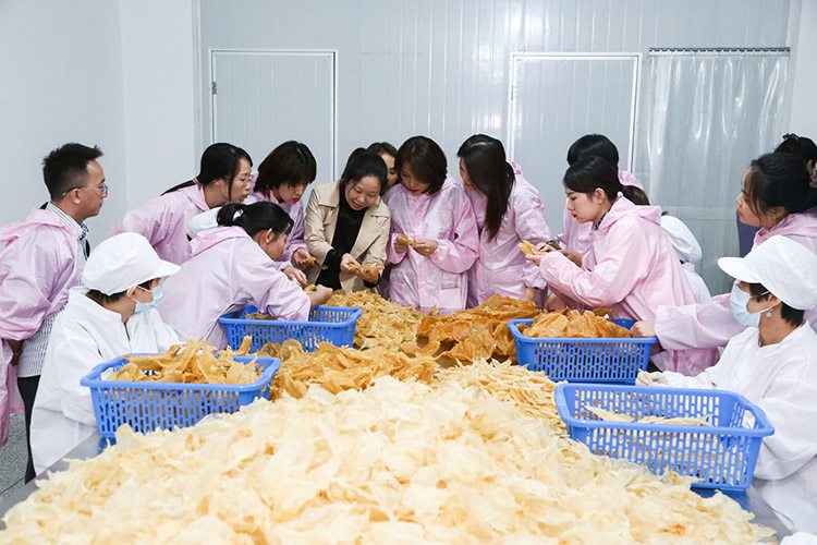 2023全国滋补健康产业创新发展交流会八月相聚上海