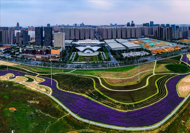 大号发布：2023年世界制造业大会于2023年09月20日-24日在合肥滨湖国际会展中心盛大开幕！COTV全球直播、中网市场、中网TV、大号会展现场发布！