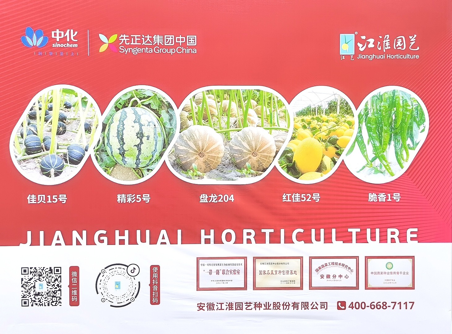 大号发布：2023年第十五届中国国际种业博览会暨第二十届全国种子信息交流与产品交易会于2023年09月23日-25日在合肥滨湖国际会展中心盛大开幕！COTV全球直播、中网市场、大号会展现场发布！