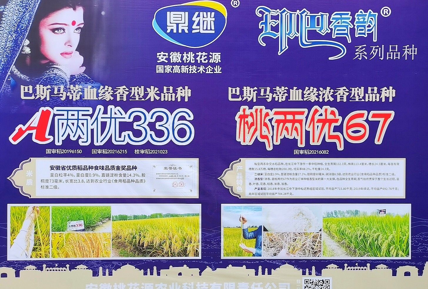 大号发布：2023年第十五届中国国际种业博览会暨第二十届全国种子信息交流与产品交易会于2023年09月23日-25日在合肥滨湖国际会展中心盛大开幕！COTV全球直播、中网市场、大号会展现场发布！