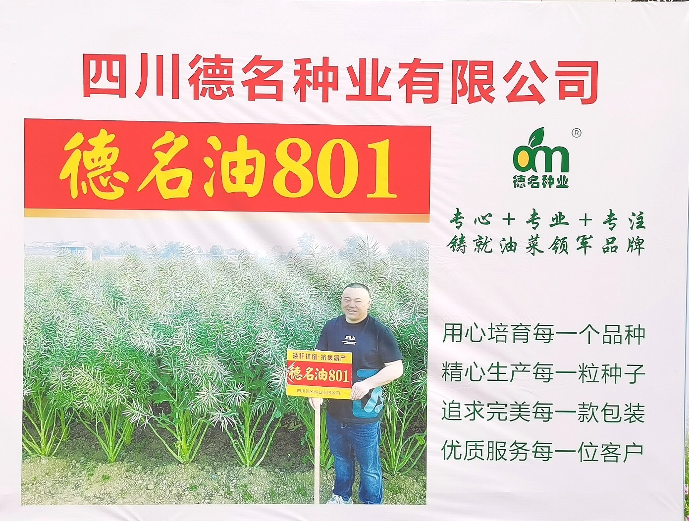 大号发布：2023年第十五届中国国际种业博览会暨第二十届全国种子信息交流与产品交易会于2023年09月23日-25日在合肥滨湖国际会展中心盛大开幕！COTV全球直播、中网市场、大号会展现场发布！